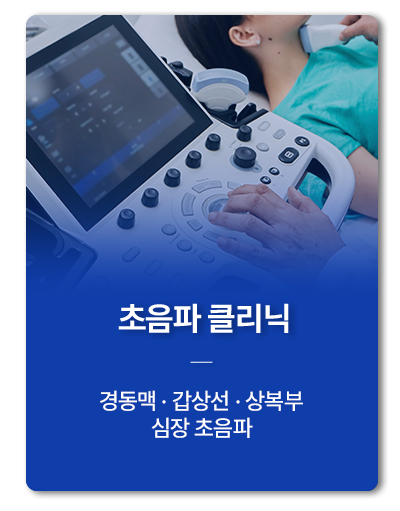 초음파 클리닉